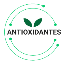antioxidantes tipos